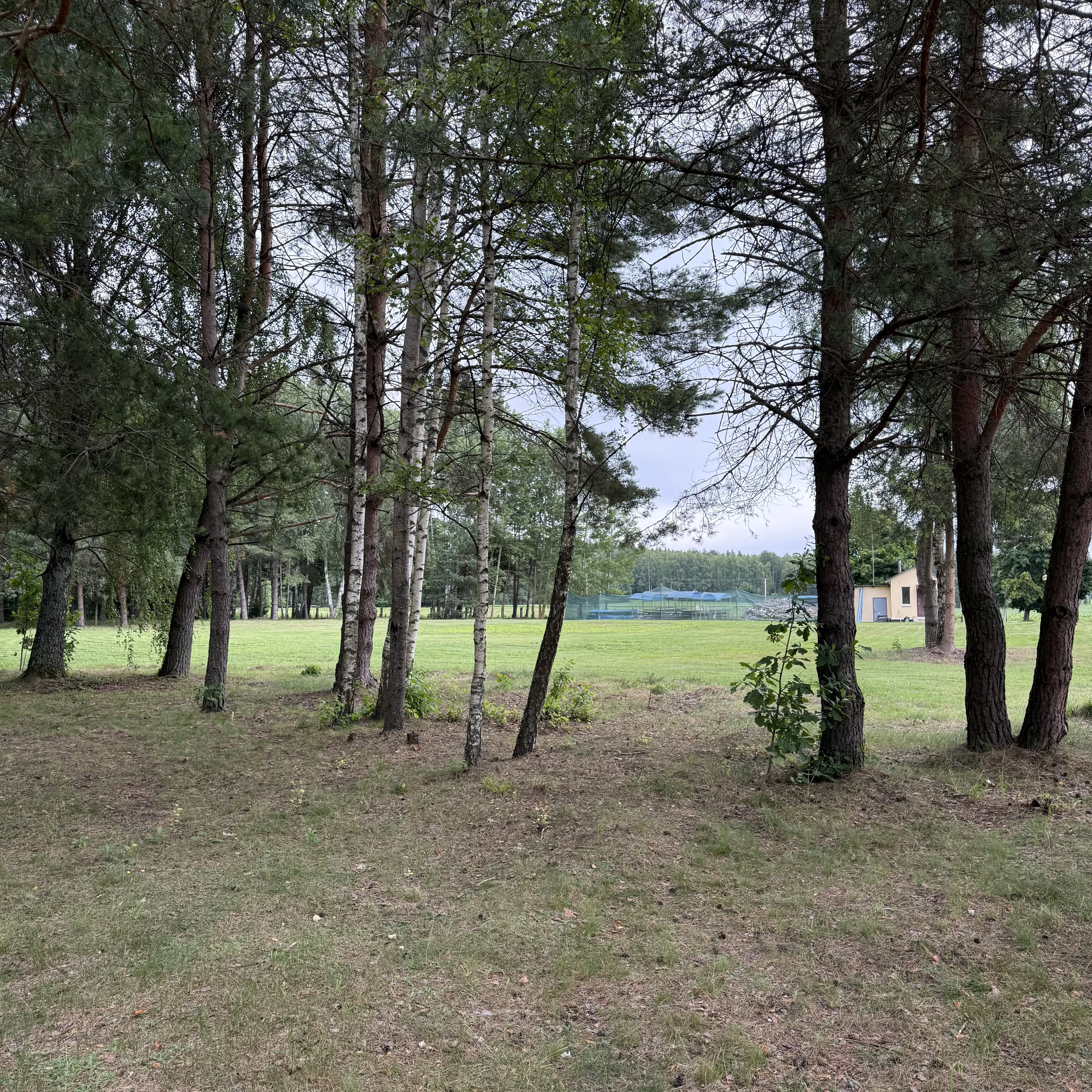 Лесная тропа